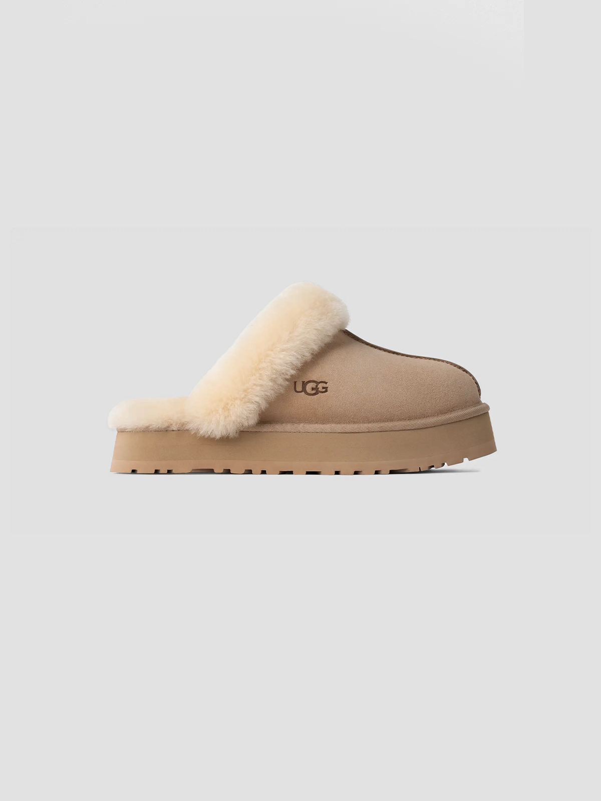 Disquette Slipper