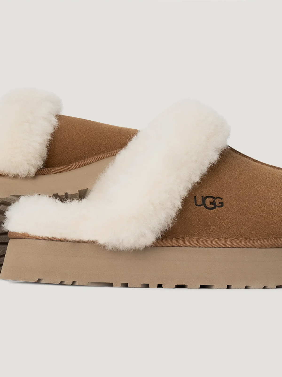 Disquette Slipper