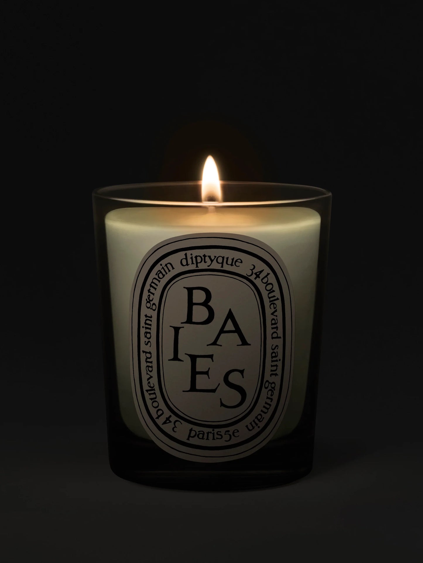 Diptyque Baies (Berries) Classic Candle