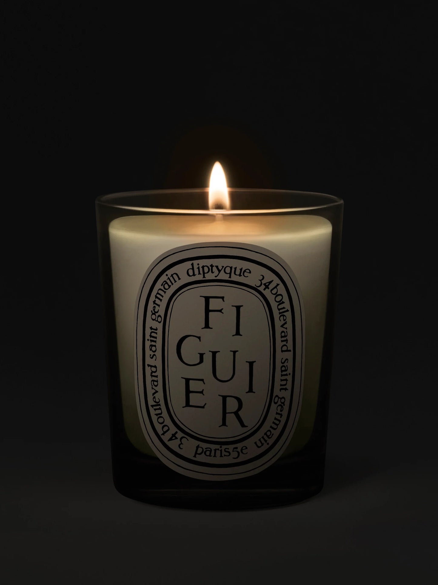 Diptyque Figuier (Fig Tree) Classic Candle