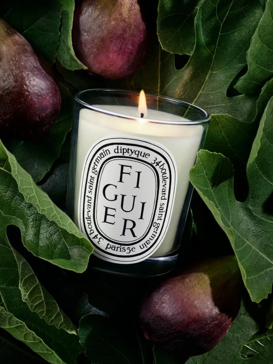 Diptyque Figuier (Fig Tree) Classic Candle