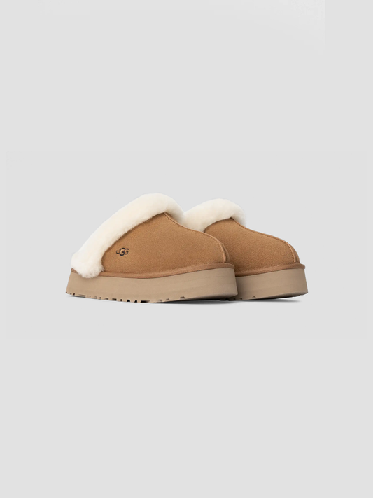 Disquette Slipper